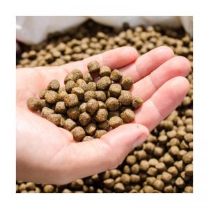 vertikala furaĝa pakmaŝino