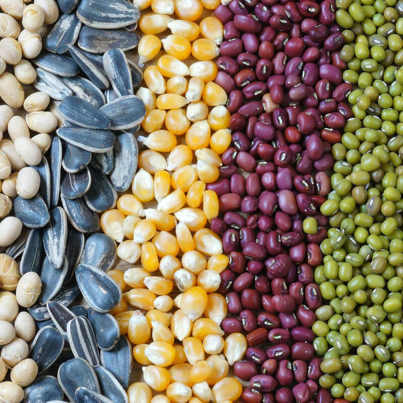 Aŭtomata pakmaŝino de semoj